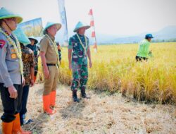 PJ Gubernur Jabar Apresiasi Kelompok Tani Mekarwangi di Cicalengka, Hasil Panen Tetap Tinggi di Tengah Cuaca Ekstrem