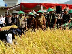 Bersama PJ Gubernur Jabar dan Kapolda Jabar, Pangdam III/Siliwangi Panen Raya Padi Hasil Bios 44 DC Di Cicalengka Kp.Bojong Jambu Desa Panenjoan
