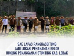 SAE Lapas Rangkasbitung Jadi Lokasi Penanaman Kelor Dukung Penanganan Stunting Kab. Lebak