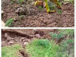 Bencana Longsor Terjadi di Daerah  Sukamakmur