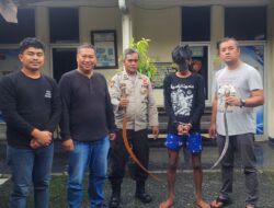 Polsek Ciawi Amankan Satu Pemuda Pembawa Celurit, Dalam Perkelahian Antar Pemuda di Ciawi