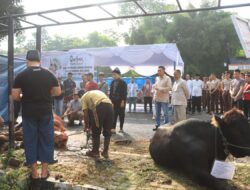 Kapolres Bogor Laksanakan Sholat Idul adha dan Berqurban Bersama Anggota Polres Bogor
