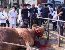 Polda Jabar Sumbangkan 77 Ekor Sapi dan 35 ekor Kambing Untuk Qurban Idul adha 1446, H