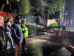 Sinergi Tanggap Darurat, Polsek Ciawi dan Stakeholder Evakuasi Pohon Tumbang Tutup Jalan Utama, Petugas Bergerak Cepat