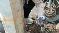Dekat Kantor, DLHK Tak Memiliki Alat Sama Sekali Untuk Cek Kualitas Tanah dan Udara