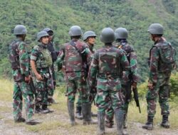 TNI Lumpuhkan 8 Anggota KKB di Papua Jelang HUT ke-80