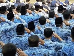 Nasib PPPK, Antara Harapan Honorer dan Fleksibilitas ASN