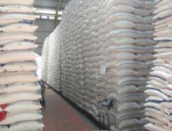 Stok Aman, Harga Stabil: Beras SPHP Tersedia di 60 Ribu Toko Seluruh Indonesia