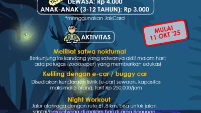 Malam Minggu di Kebun Binatang: Ragunan Tawarkan Safari Malam Penuh Edukasi