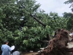 Bandung Porak-Poranda: 289 Rumah Terkoyak Puting Beliung, Warga Berlindung di Tengah Terpal