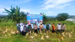 Panen Jagung Hibrida di Dramaga: Sinergi Polri dan Masyarakat Dorong Ketahanan Pangan Nasional