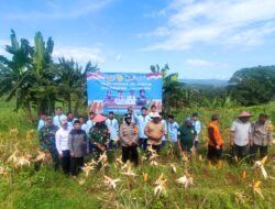 Panen Jagung Hibrida di Dramaga: Sinergi Polri dan Masyarakat Dorong Ketahanan Pangan Nasional