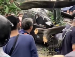 Bandung Diterjang Hujan Es dan Angin Kencang, Pohon Tumbang hingga Bangunan Roboh