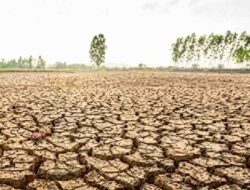 “Godzilla El Nino” 2026: Ancaman Kekeringan Masif di Indonesia