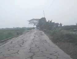 DPD IWO Indonesia Kabupaten Bekasi Soroti Jalan Rusak Parah di Ruas Sukahurip–Tambelang, Desak Pemkab Segera Bertindak