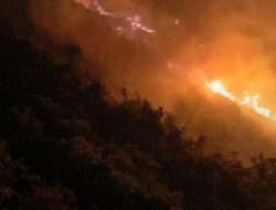 Karhutla Merembet ke Kawasan Ijen, Api Mendekati Jalur Pendakian dan Pondok Bunder