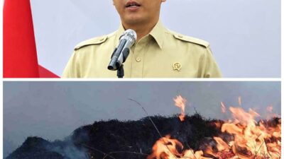 Pemerintah Gelontorkan Rp1,235 Triliun untuk Atasi Karhutla di 7 Provinsi, Perusahaan Terlibat Terancam Sanksi