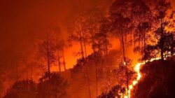 Polri Jerat 232 Pelaku Karhutla, Ribuan Hektare Lahan Hangus di Sumatera dan Kalimantan