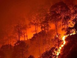 Polri Jerat 232 Pelaku Karhutla, Ribuan Hektare Lahan Hangus di Sumatera dan Kalimantan